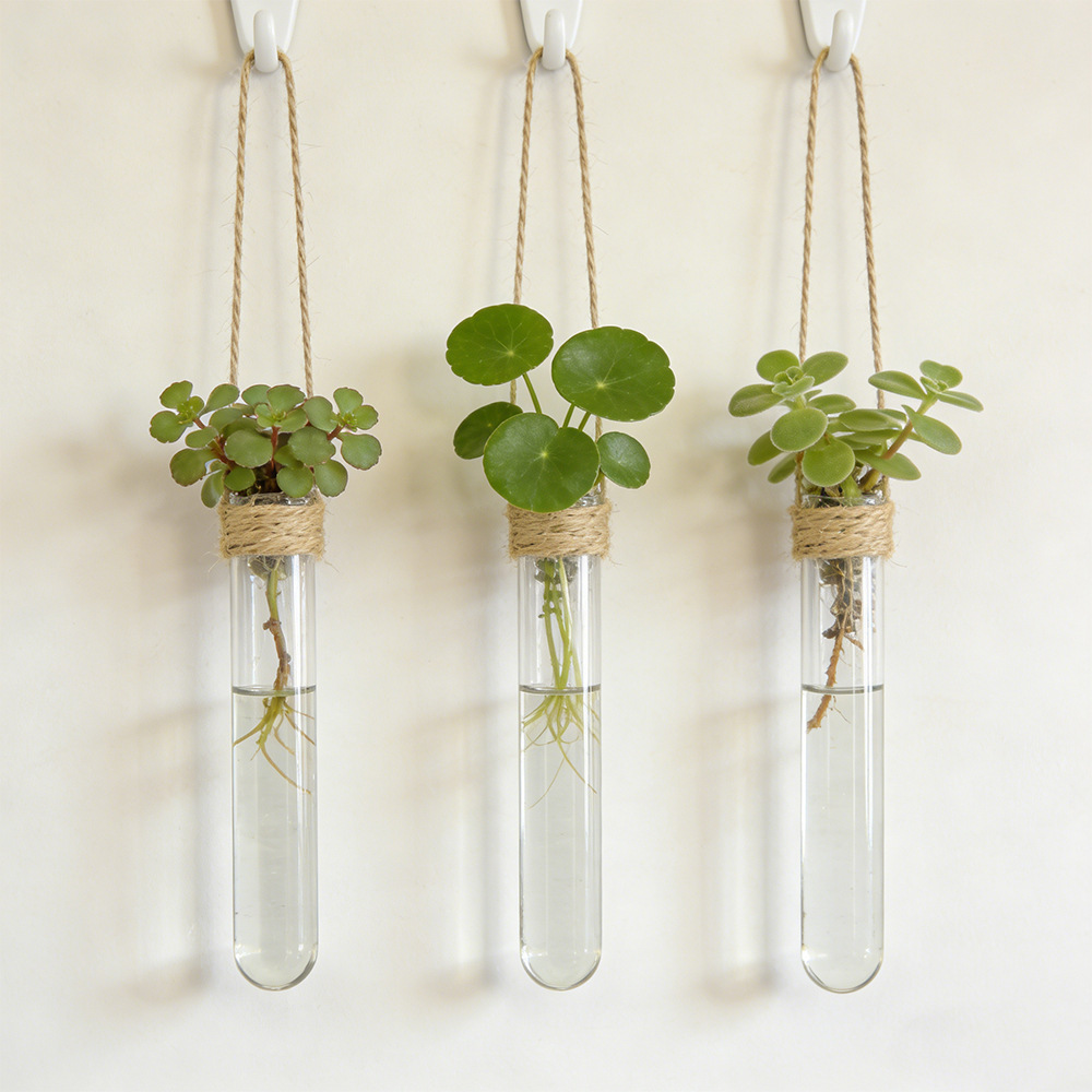 Woven Wall Basket - Hydroponic Flower Vase Wall-Mounted Test-Tube Vase