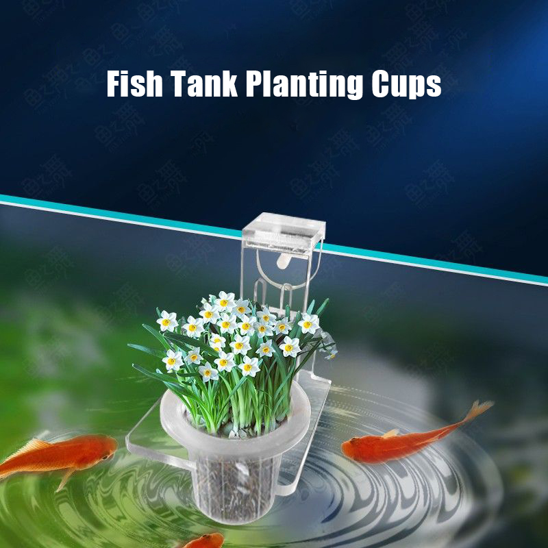 Fish Tank Planting Cups Hydrop - Woven Wall Basket avaliação e preço