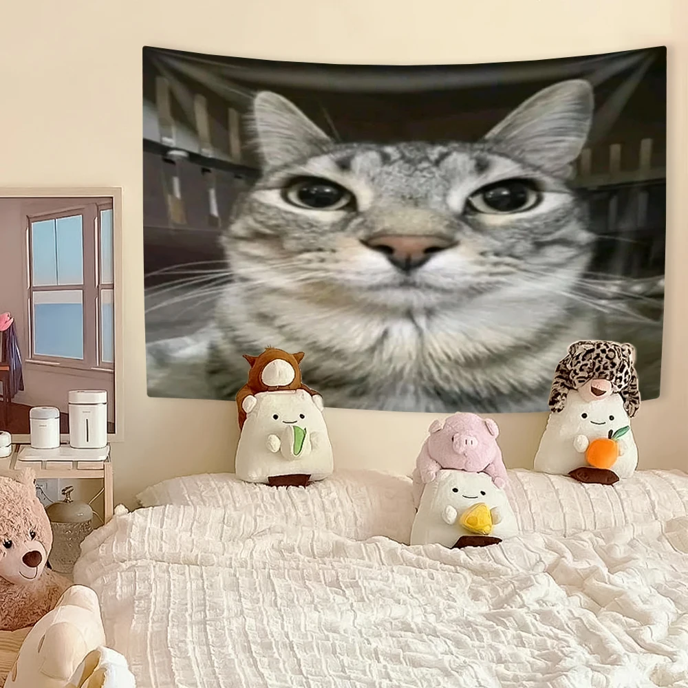 Funny Cat Meme Tapestry, Kawai - Aesthetic Tapestry avaliação e preço