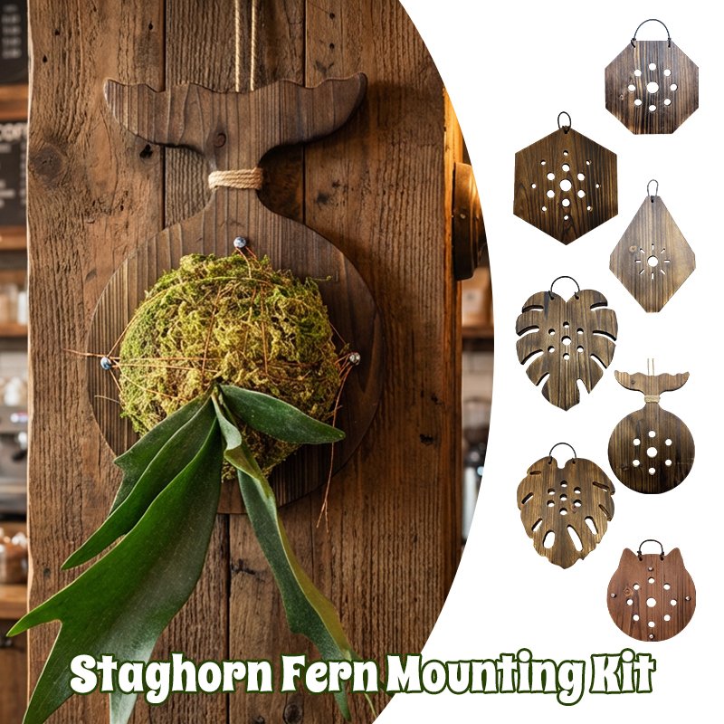 New Wooden Staghorn Fern Wall  - Woven Wall Basket avaliação e preço