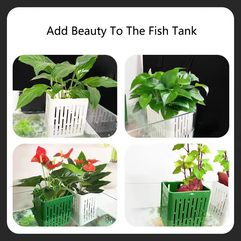 Fish Tank Water Grass Cup Aqua - Woven Wall Basket avaliação e preço