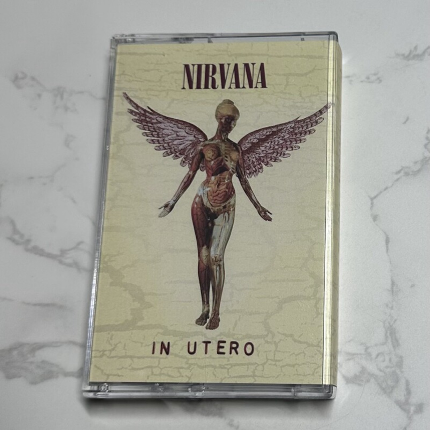 Nirvana Complete Album Collect - Home Decor Vintage avaliação e preço