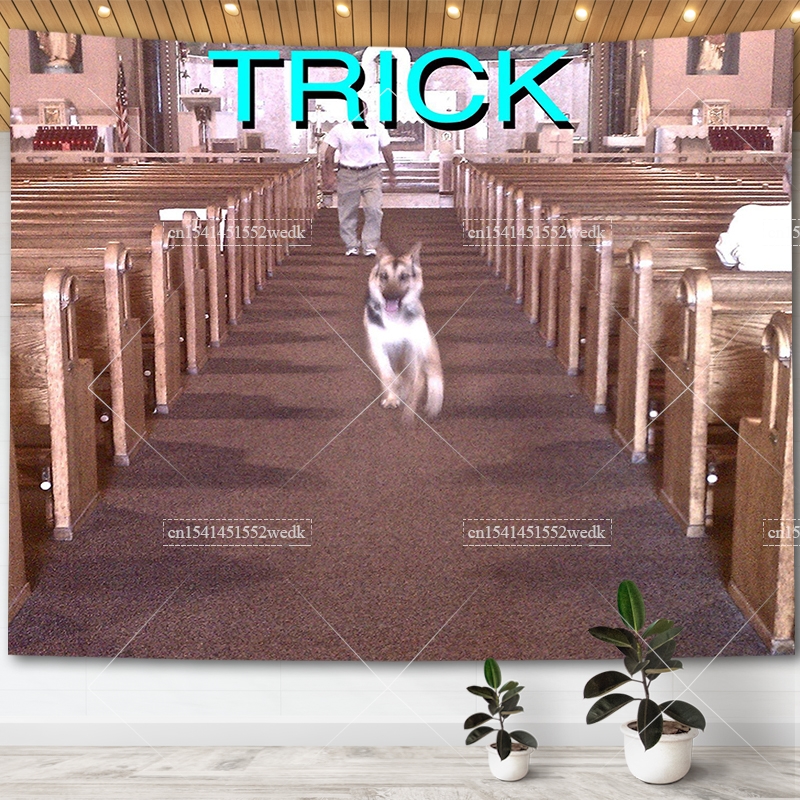 Alex G Trick Album Cover Tapes - Aesthetic Tapestry avaliação e preço